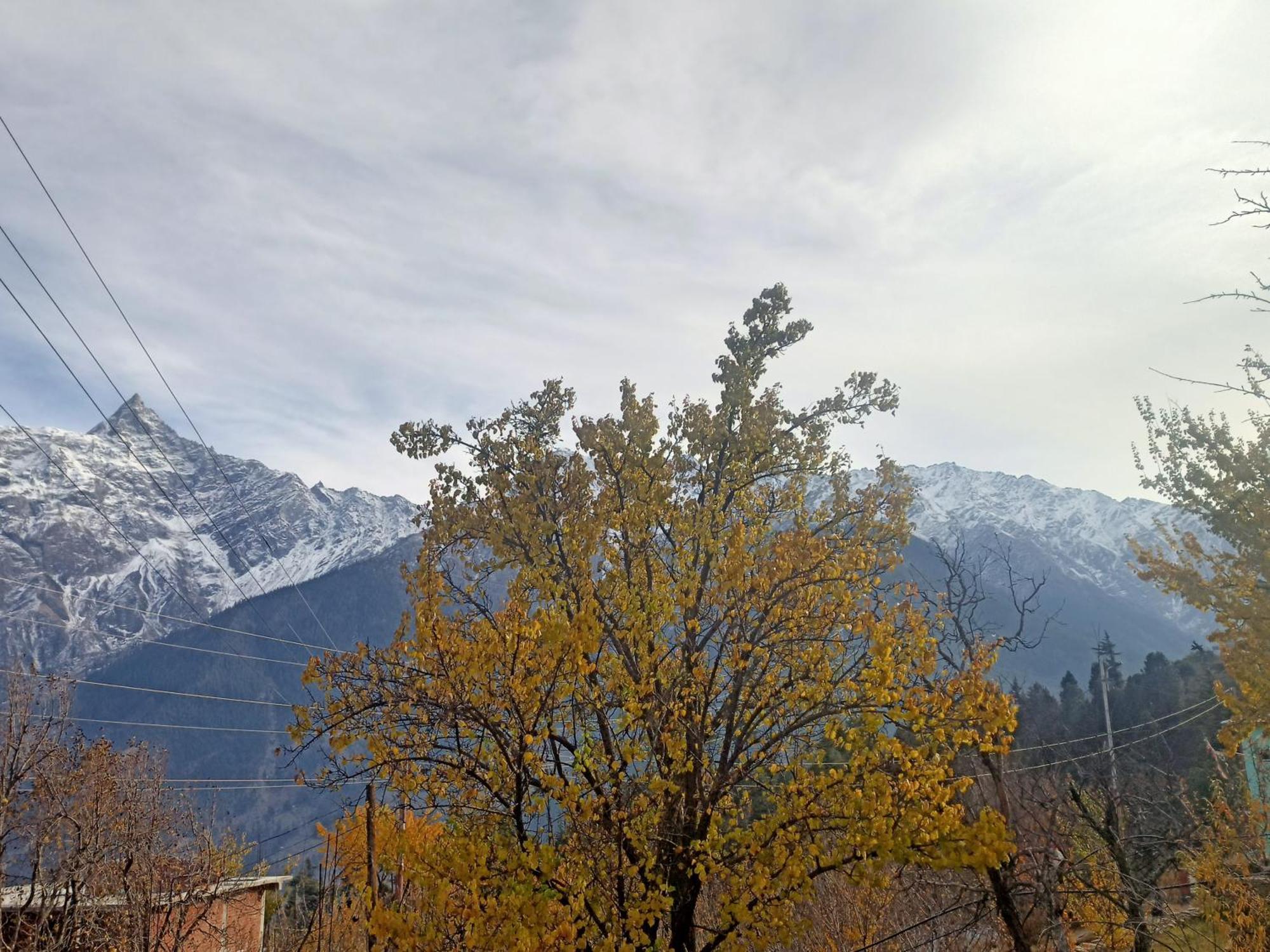 The Shudarang Inn Kalpa Exterior photo